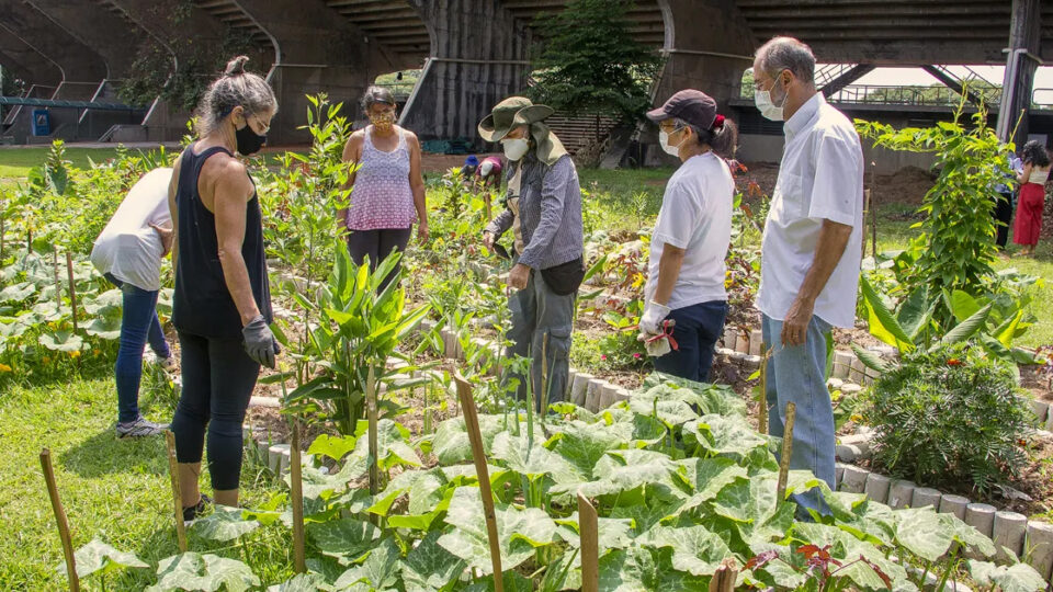 Projeto mapeia iniciativas de hortas comunitárias no campus da USP na capital