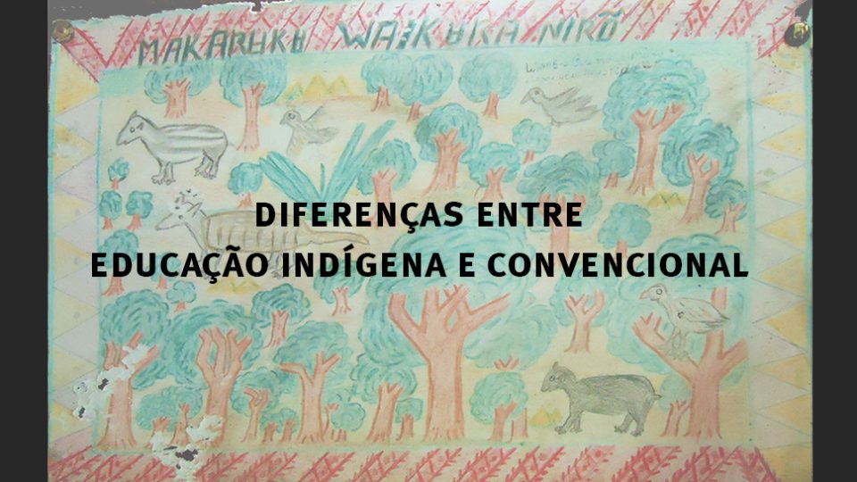 Pesquisa da Feusp analisa diferenças entre educação indígena e convencional